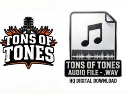 Whitesnake - Now You're Gone Solo