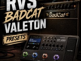 BADCAT PRESETS VALETON